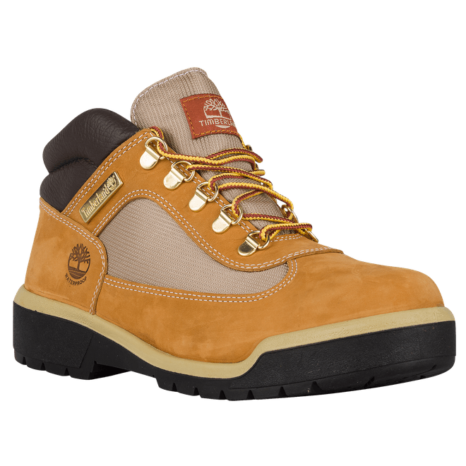 Timberland  Field Boots TB0A18RI231