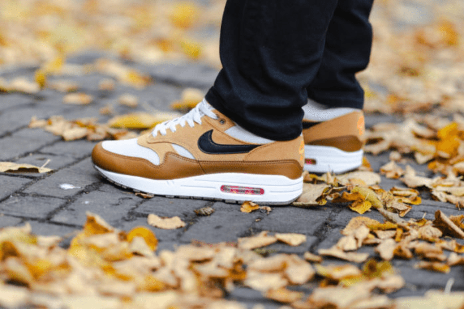 Das Ultimative Nike Air Max 1 FAQ