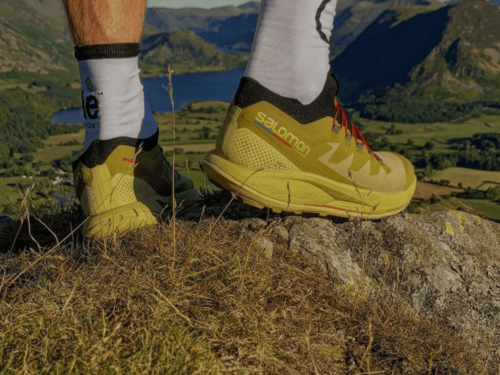 Salomon sneaker in nature