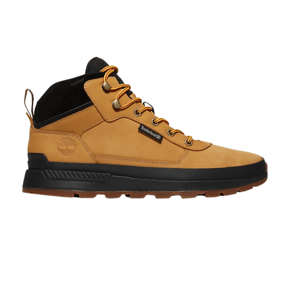 hiking boot timberland