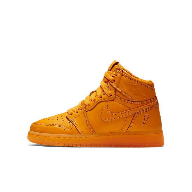 Jordan Air Jordan 1 Retro hi-top AJ6000880