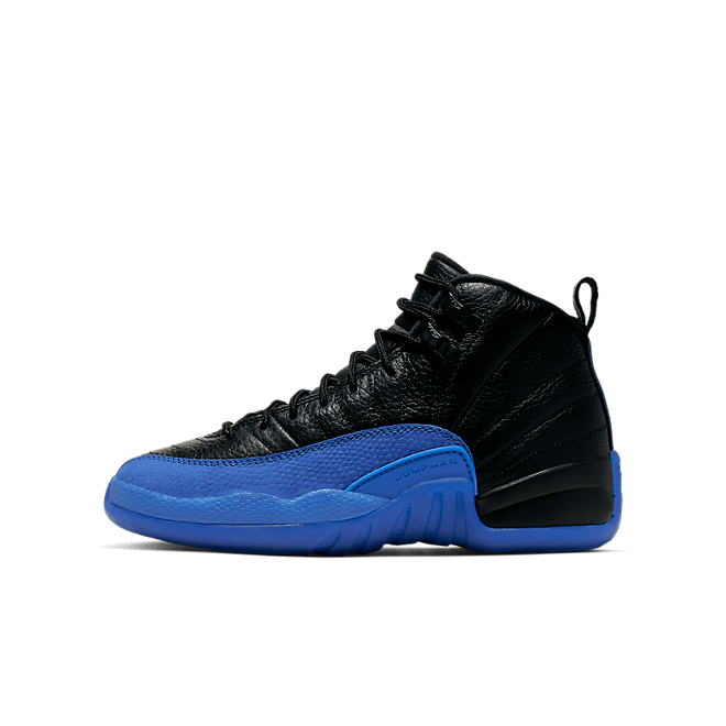 Jordan Air Jordan 12 GS