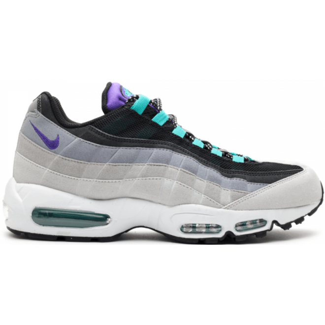 Nike Air Max 95 Grape (2010) 609048-030