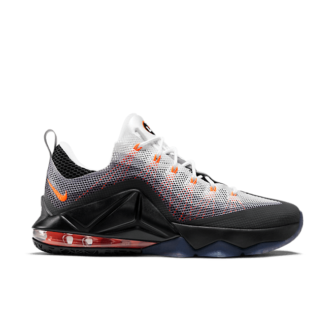 Nike Air Max 95 LeBron 12 Low 812560-081