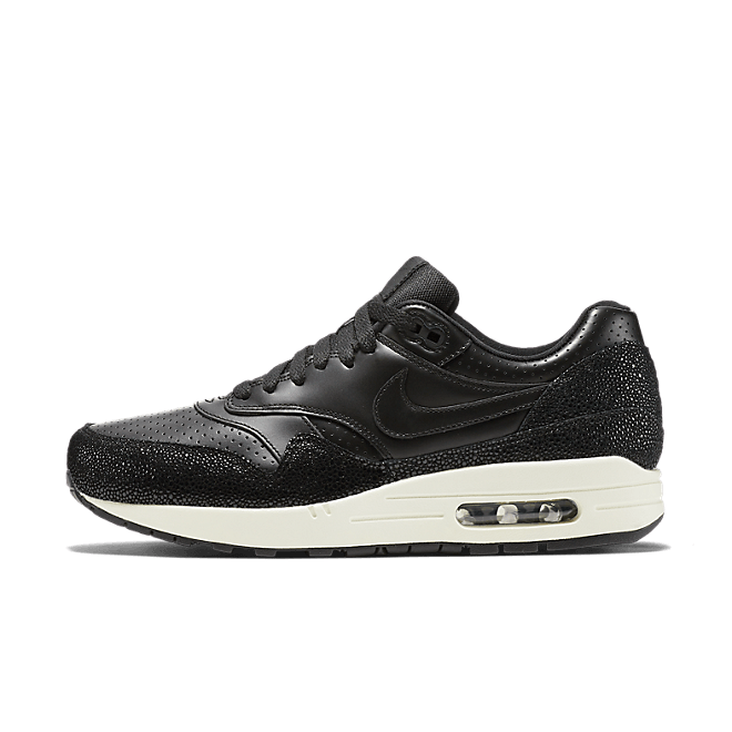 Nike Air Max 1 Stingray Pack 705007-001