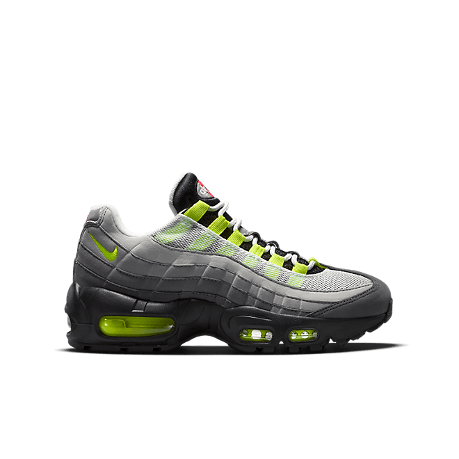 Nike Air Max 95 What the Air Max (GS) 810375-078