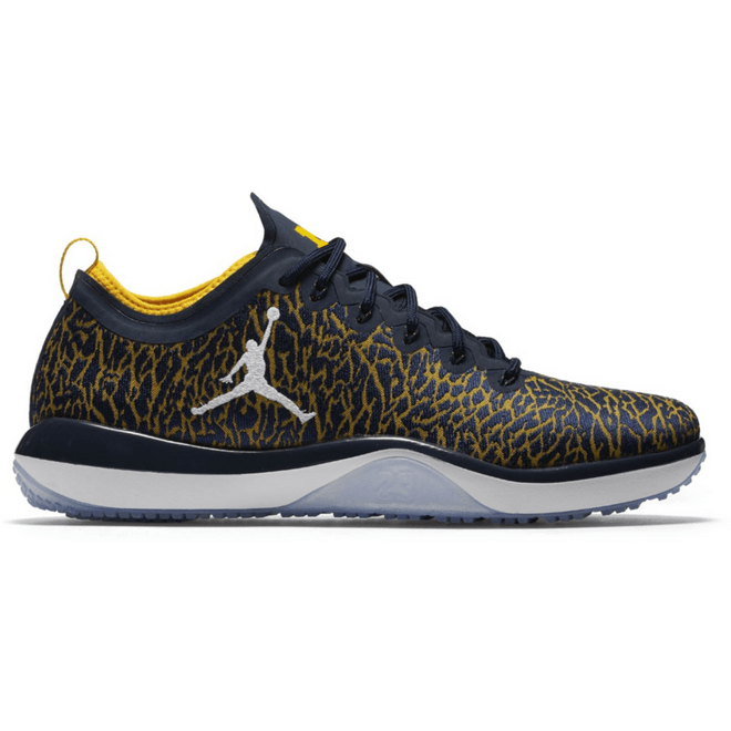 Jordan Trainer 1 Low Michigan 845403-420