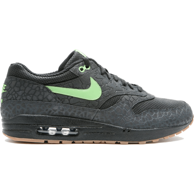 Nike Air Max 1 Hufquake 318361-031