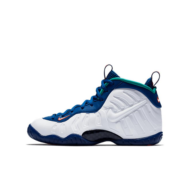 Nike Air Foamposite Pro Gym Blue (GS) 644792-404