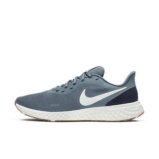 Nike Revolution 5 Ozone Blue BQ3204-012