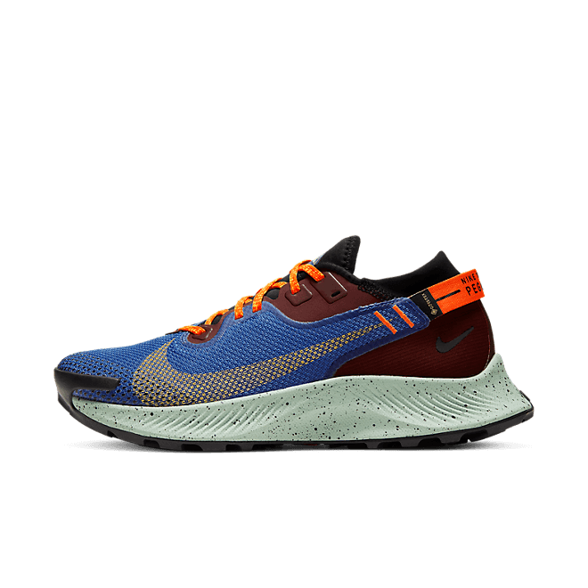 Nike Pegasus Trail 2 GORE