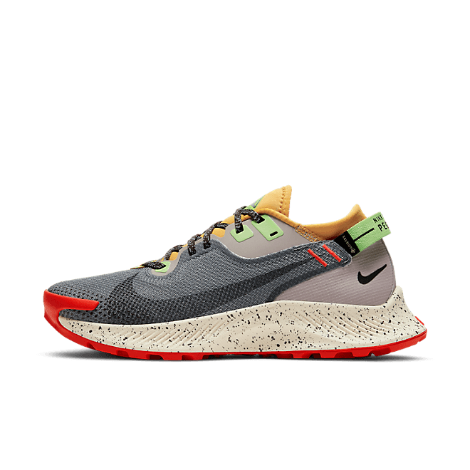 Nike Pegasus Trail 2 GORE