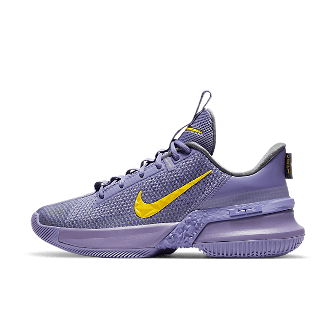 Nike LeBron Ambassador 13 Lakers 13