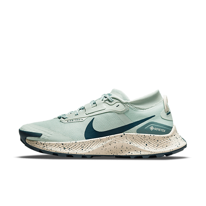 Nike Pegasus Trail 3 GORE