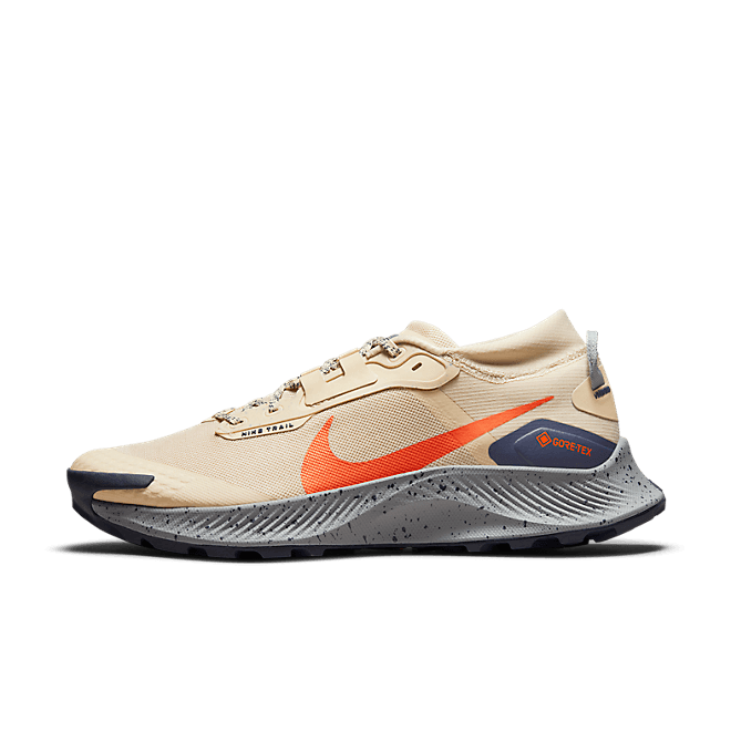 Nike Pegasus Trail 3 GORE