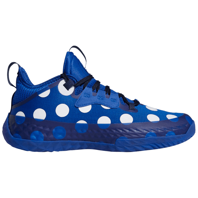 adidas Harden Vol. 5 Futurenatural Blue Polka Dot H68594