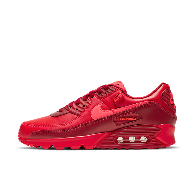 Nike Air Max 90 City Special Chicago