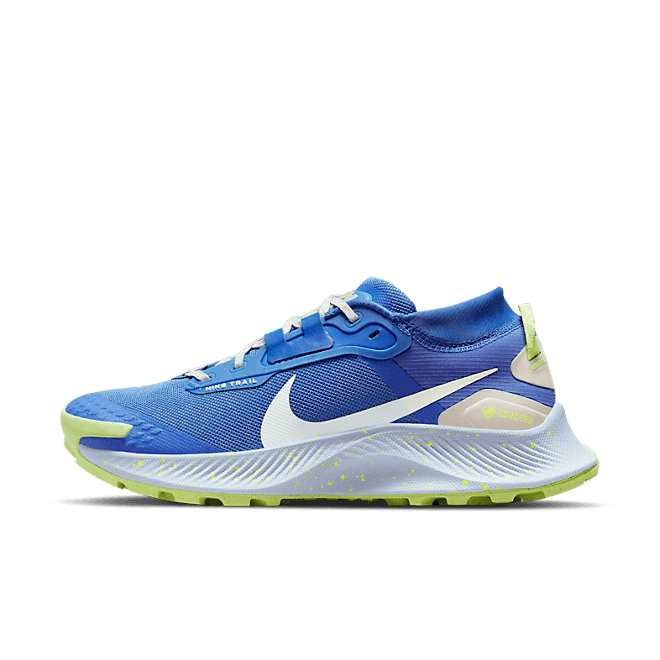 Nike Pegasus Trail 3 GORE