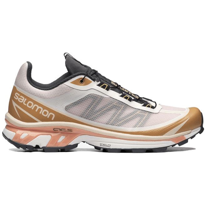 Salomon XT-6 FT Morganite Fenugreek L41620500