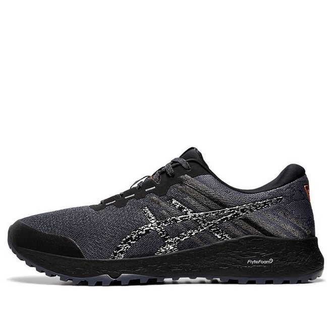 ASICS Alpine XT 2 'Carrier Silver' Carrier Grey/Silver Marathon Running 