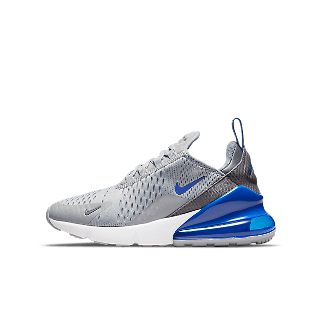 Nike Air Max 270 GS 'Light Smoke Grey Game Royal' DN8009-001