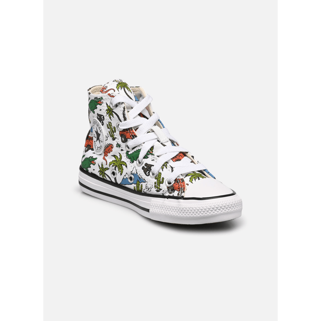 Chuck Taylor All Star Desert Explorer