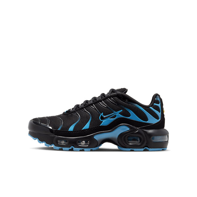 Nike Air Max Plus CD0609-020