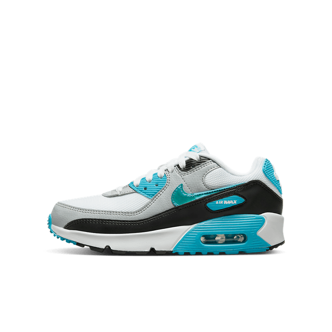 Nike Air Max 90 FD0678-100