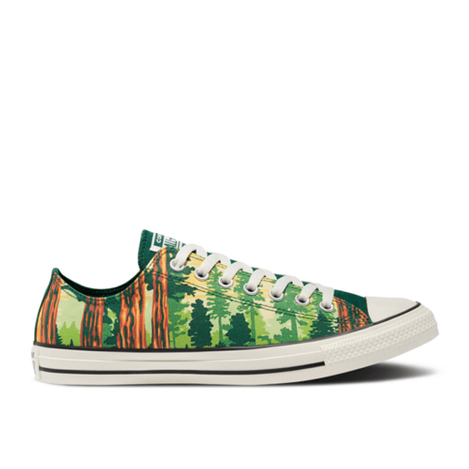 Converse Chuck Taylor All Star Low 'The Great Outdoors' 170845F