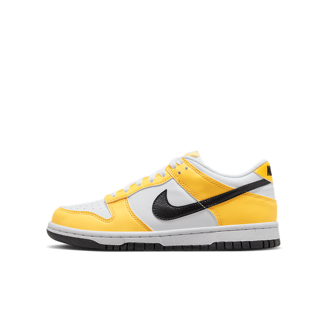 Nike Dunk Low Next Nature FN3807-800