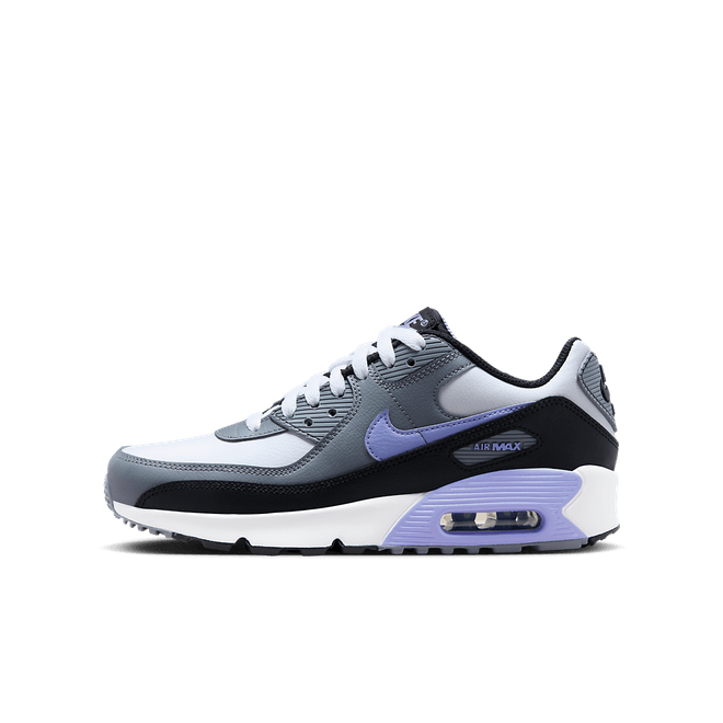 Nike Air Max 90 LTR (GS) DV3607-001