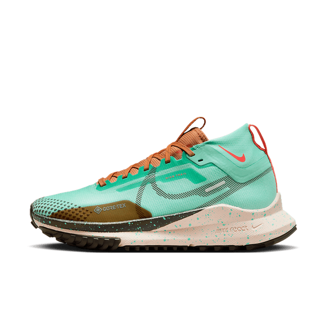 Nike Pegasus Trail 4 GORE DJ7929-301