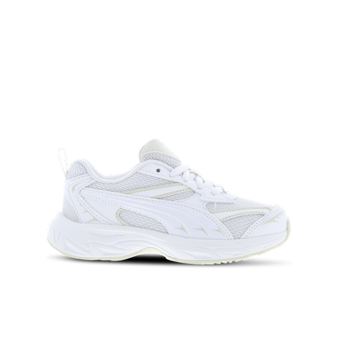 Puma Morphic