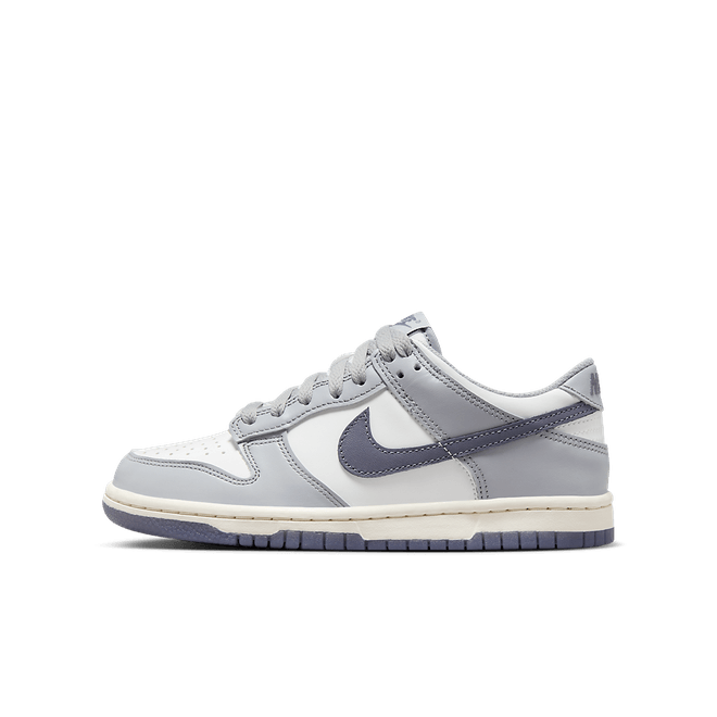 Nike Dunk Low GS 'Light Carbon' FB9109-101