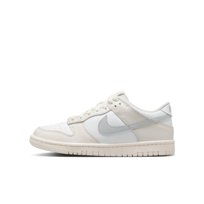 Nike Dunk Low Big Kids' FB9109-109