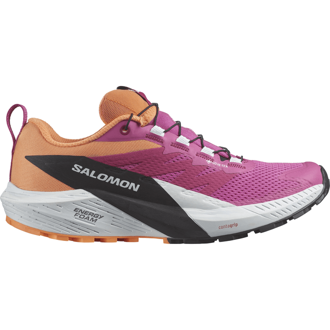 Salomon Sense Ride 5 GTX L47459700