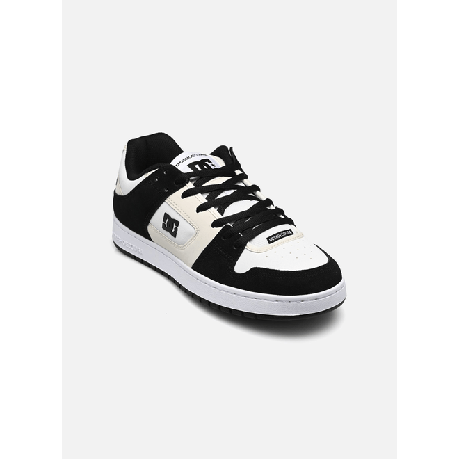 DC Shoes Manteca SE