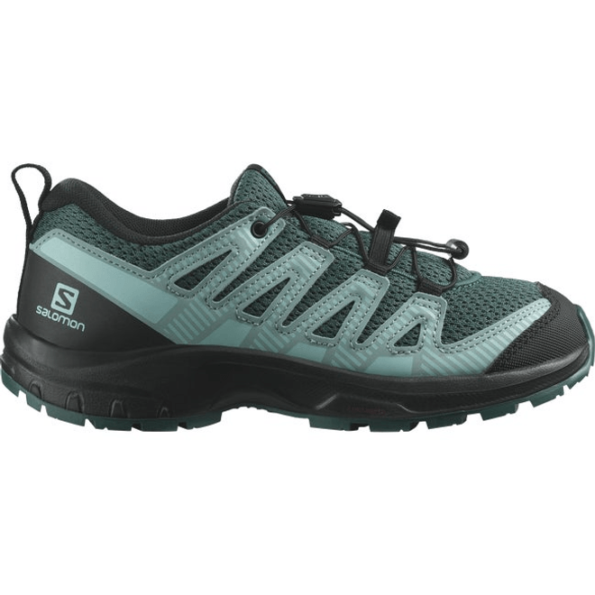 Salomon Xa Pro V8