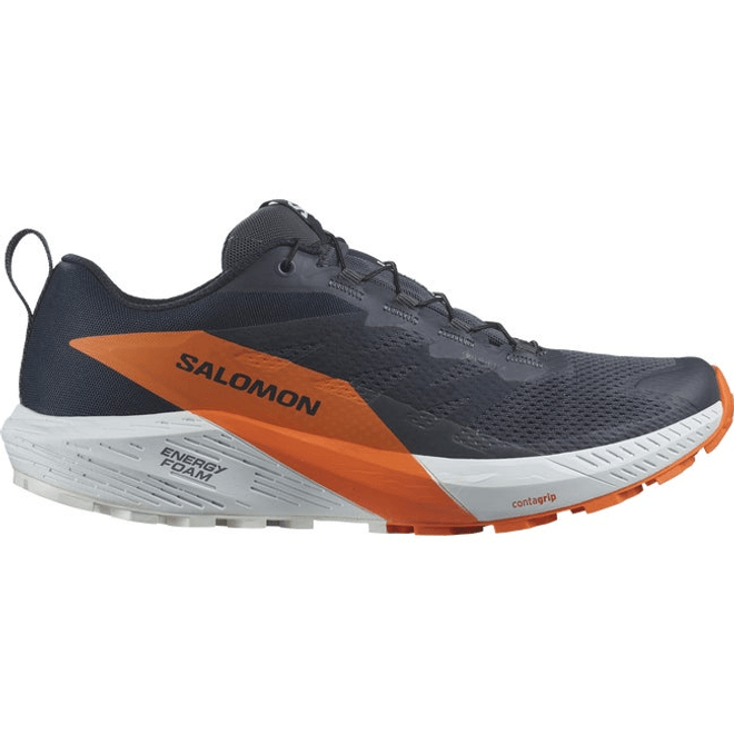 Salomon Sense Ride 5 Gore-tex L47459400