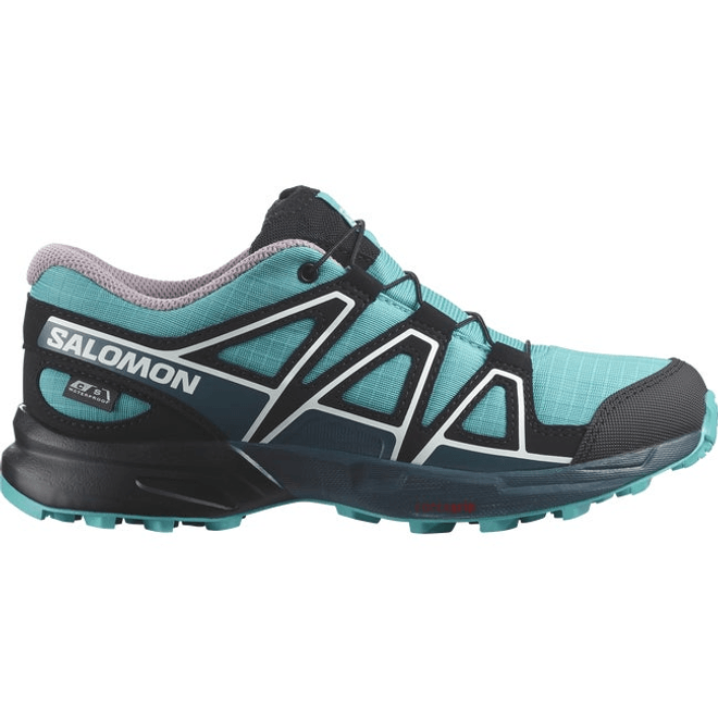 Salomon Speedcross Waterproof