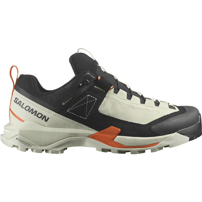 Salomon X Ultra Alpine Gore-tex