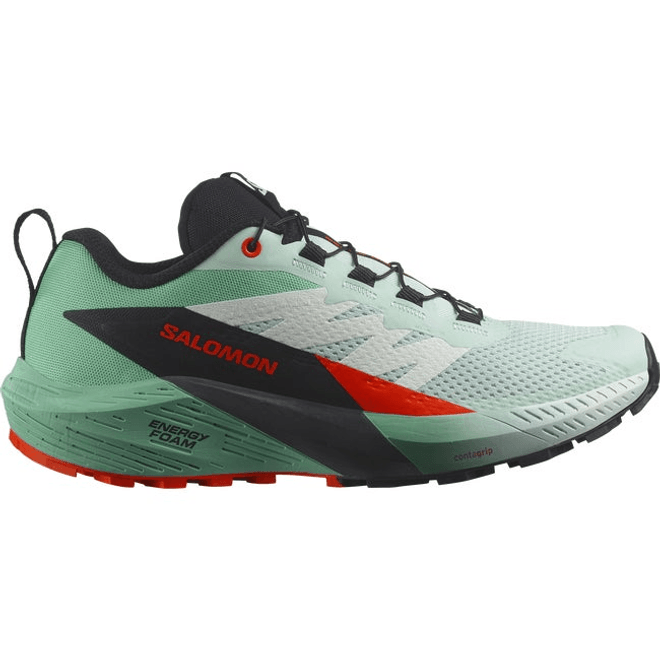 Salomon Sense Ride 5