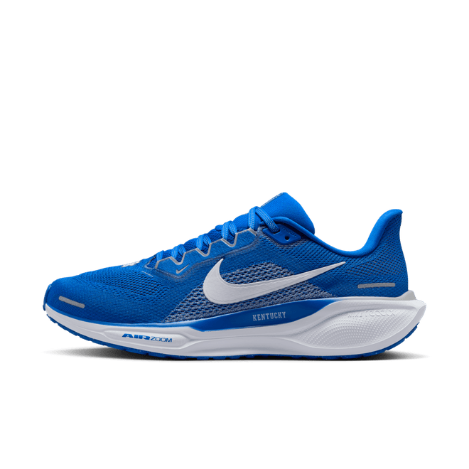 Kentucky Pegasus 41 Nike College Road