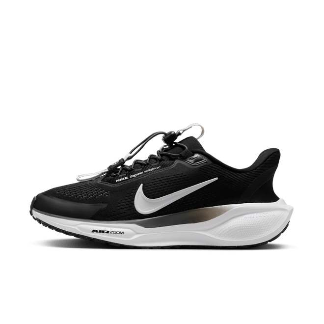 Nike Pegasus EasyOn Road