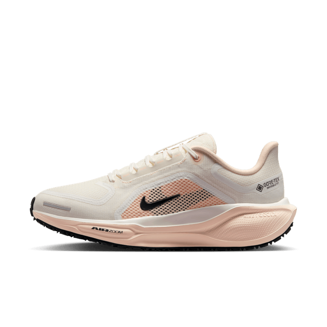 Nike Pegasus 41 GORE-TEX Waterproof Road FQ1357-100