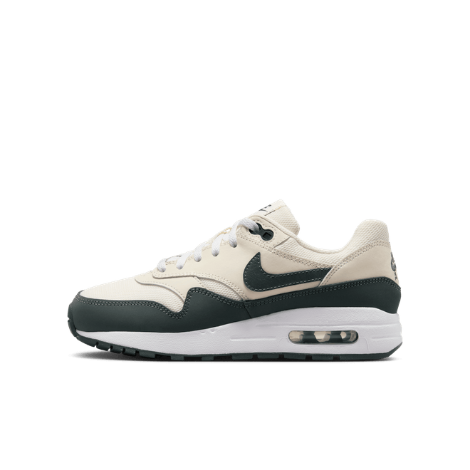 Nike Air Max 1 Older Kids' DZ3307-113