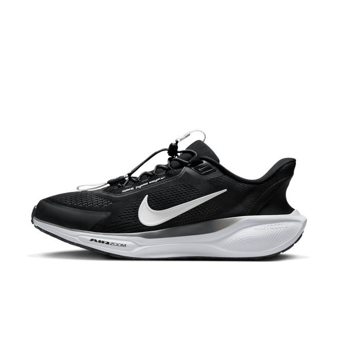 Nike Pegasus EasyOn Road