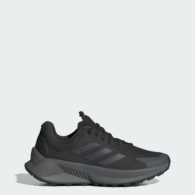 adidas Terrex Soulstride Flow Gore-Tex