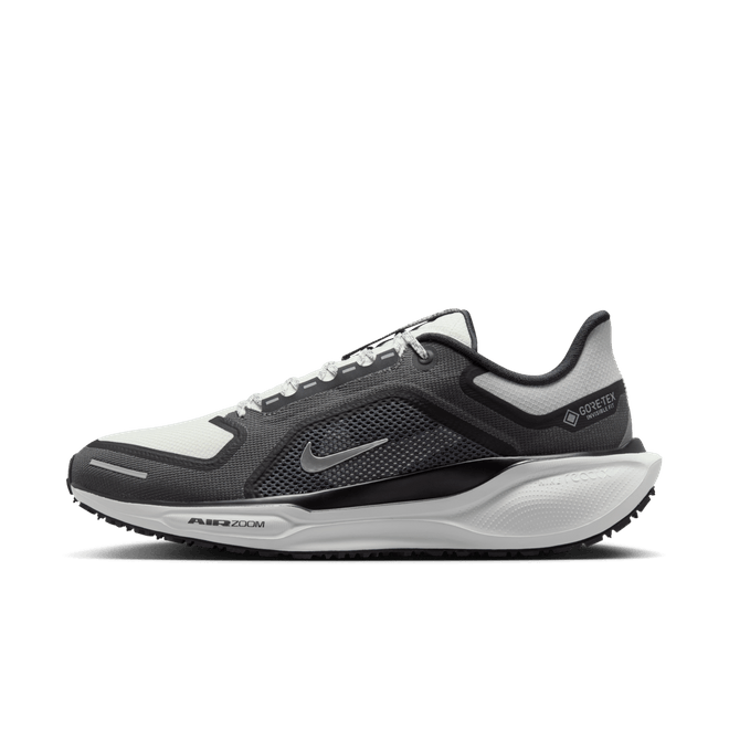 Nike Pegasus 41 GORE-TEX Waterproof Road