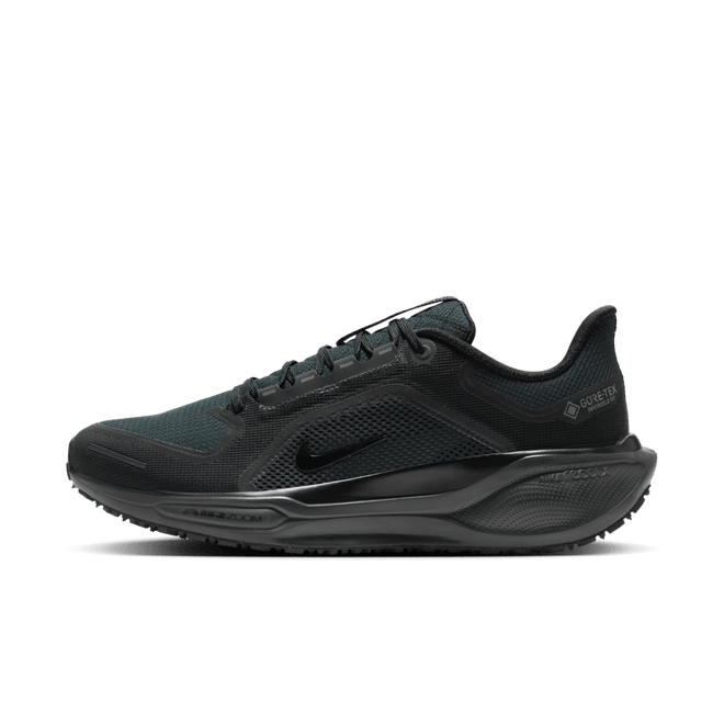 Nike Pegasus 41 GTX Road 'Black'